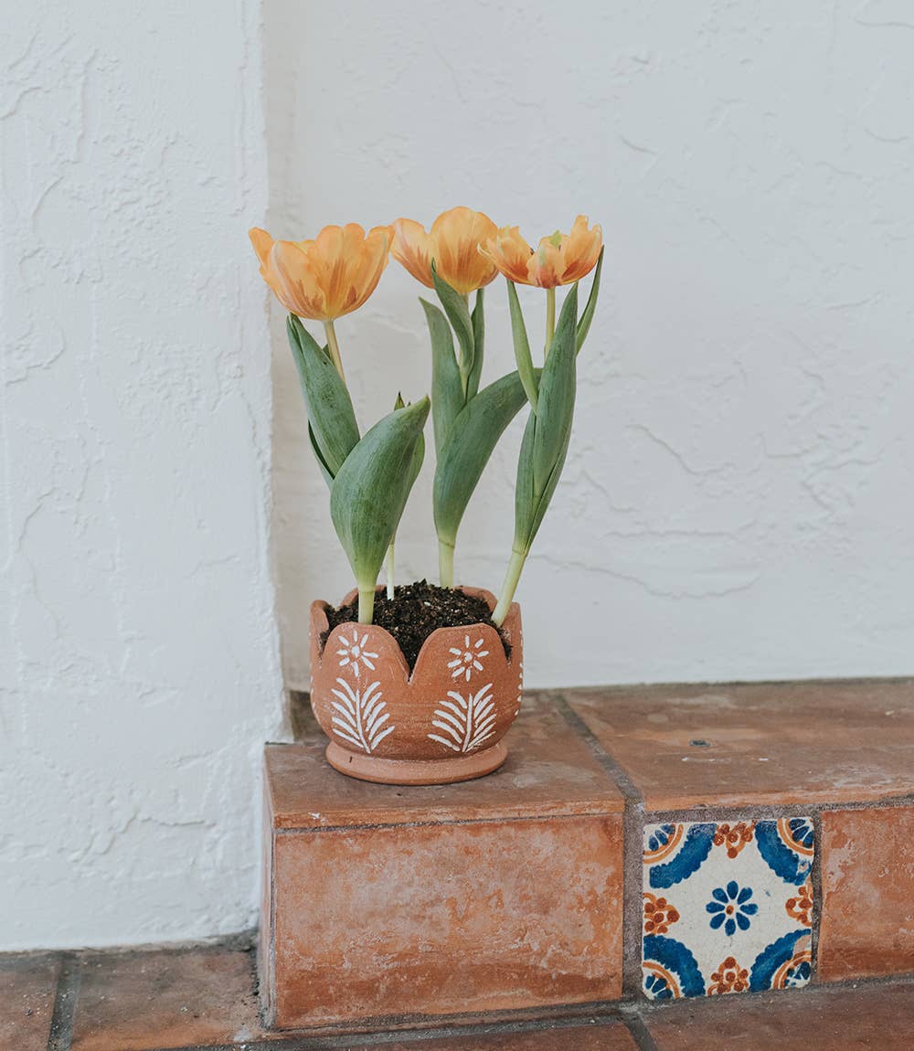 Terracotta Petals Planter with Drainage