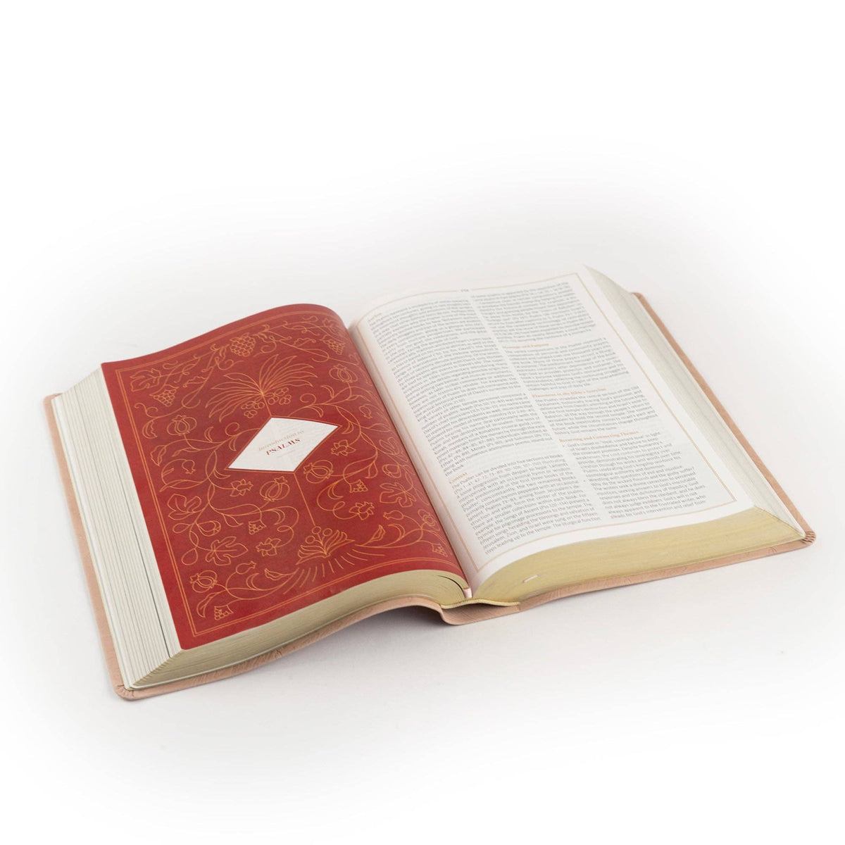 Sonora CSB Women's Study Bible