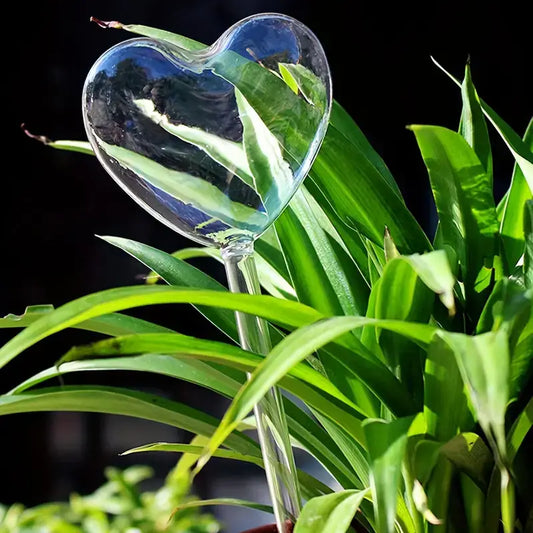 Heart-Shaped Plant Watering Stake
