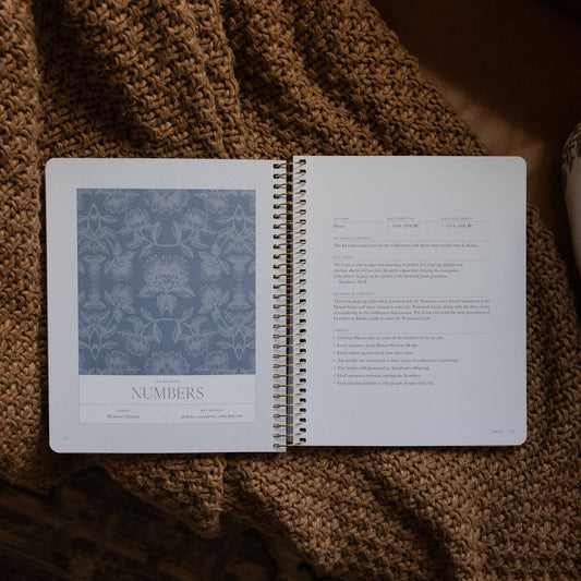 A Year in the Bible | 365 Days of Discovering the Beauty of Jesus from Genesis to Revelation | Volume 1 - Purpose + Passion Boutique