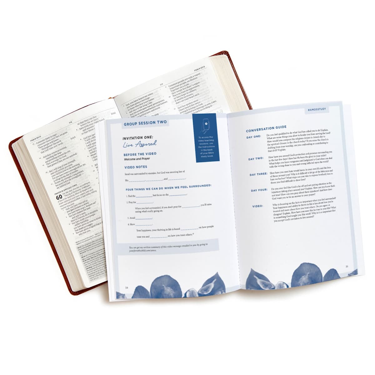 Amos - Bible Study Book with Video Access - Purpose + Passion Boutique