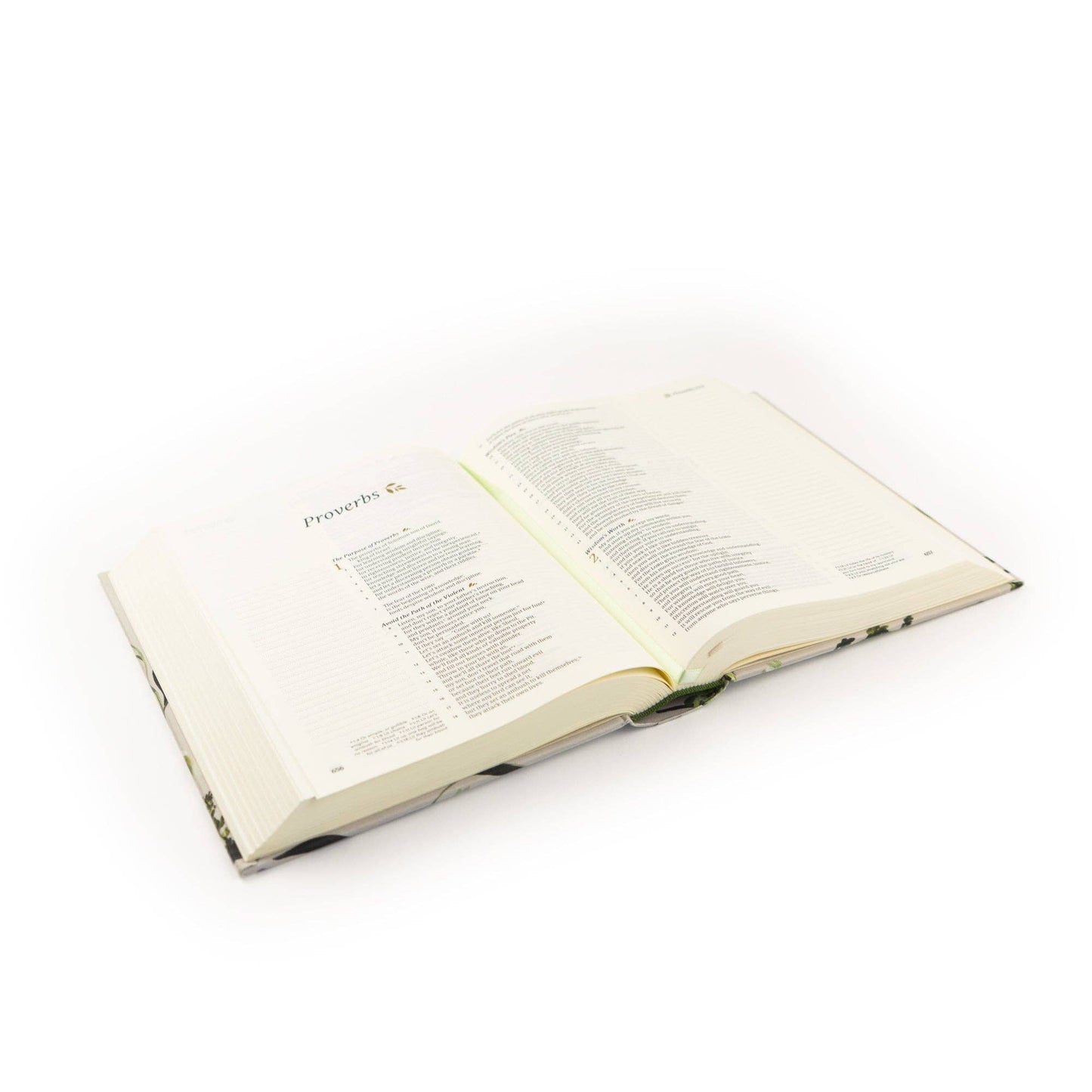 CSB Dorset Notetaking Bible