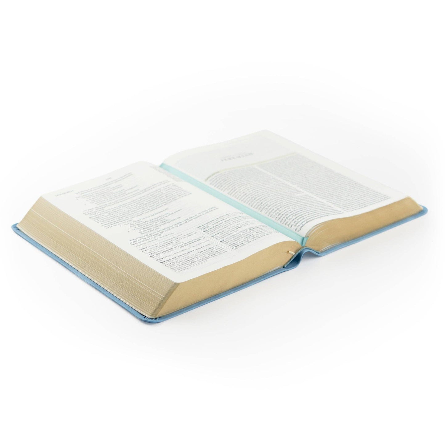 Bethany Theme ESV Study Bible - Purpose + Passion Boutique
