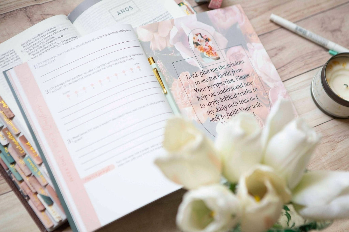 Colossians Bible Study | Exalted - Purpose + Passion Boutique