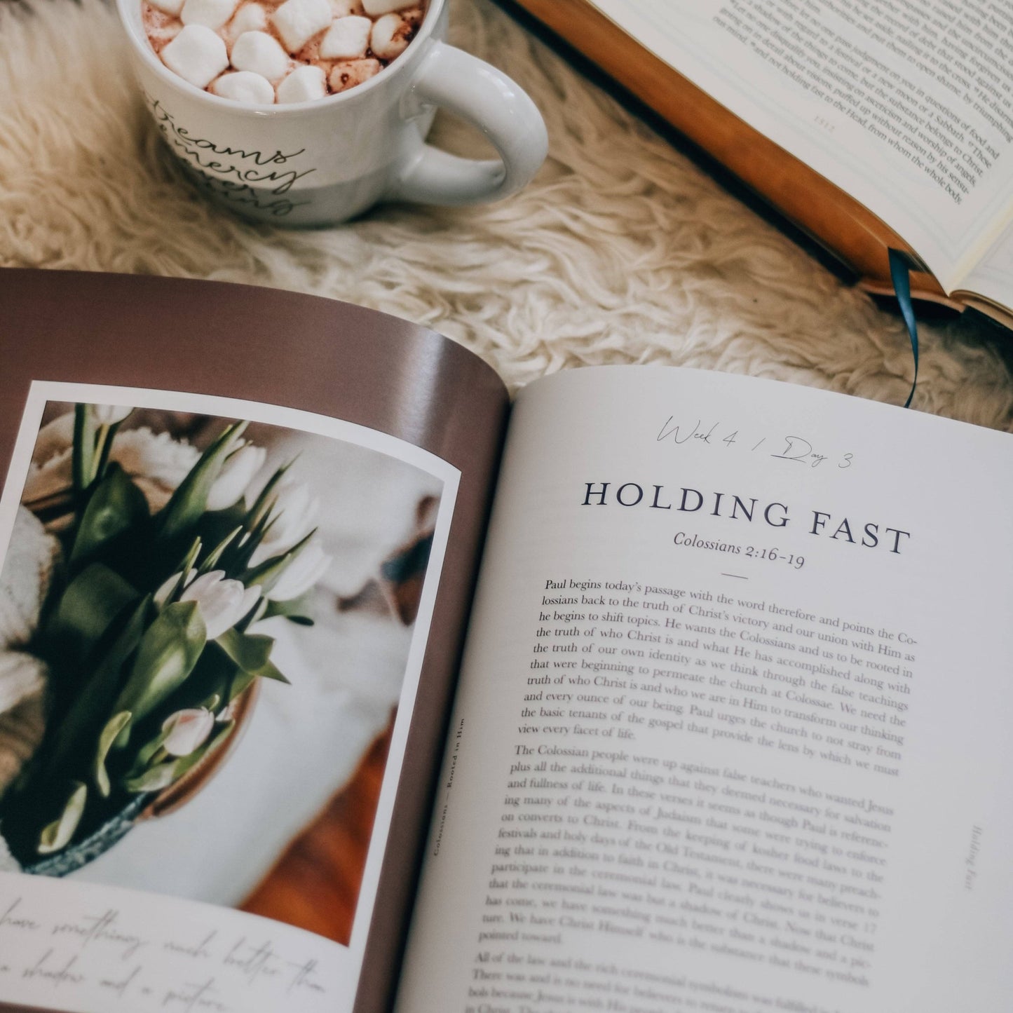 Colossians Bible Study | Rooted in Him - Purpose + Passion Boutique