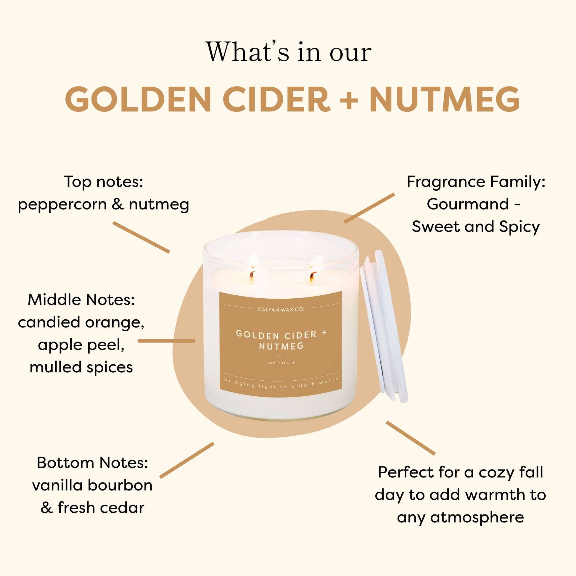 Golden Cider + Nutmeg Candle - Purpose + Passion Boutique