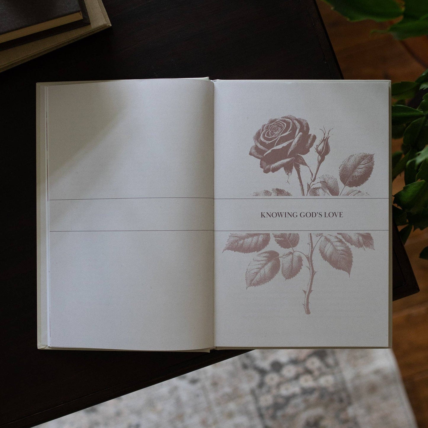 His Love Endures Forever | Remembering and Resting in God’s Love - Purpose + Passion Boutique