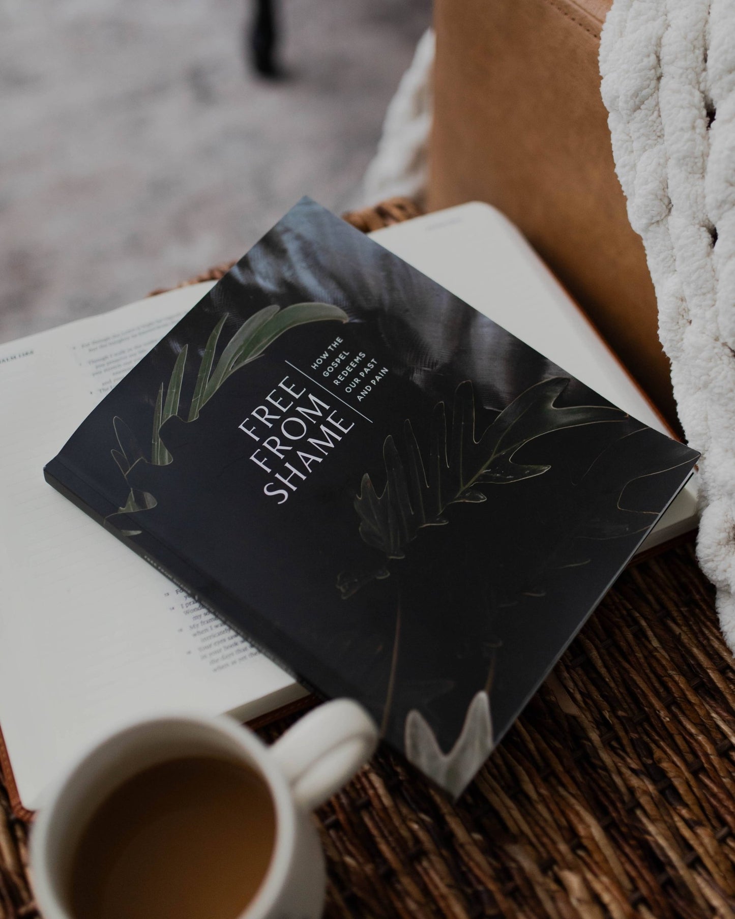 Men's Study: Free From Shame | How the Gospel Redeems our Past - Purpose + Passion Boutique