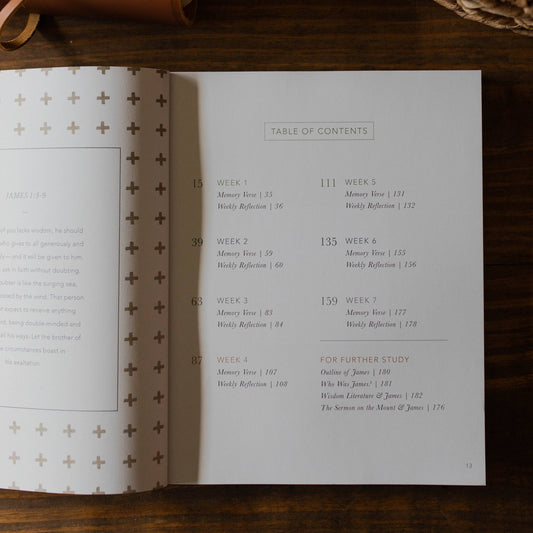 Men's Study: James | The Steadfast Life - Purpose + Passion Boutique