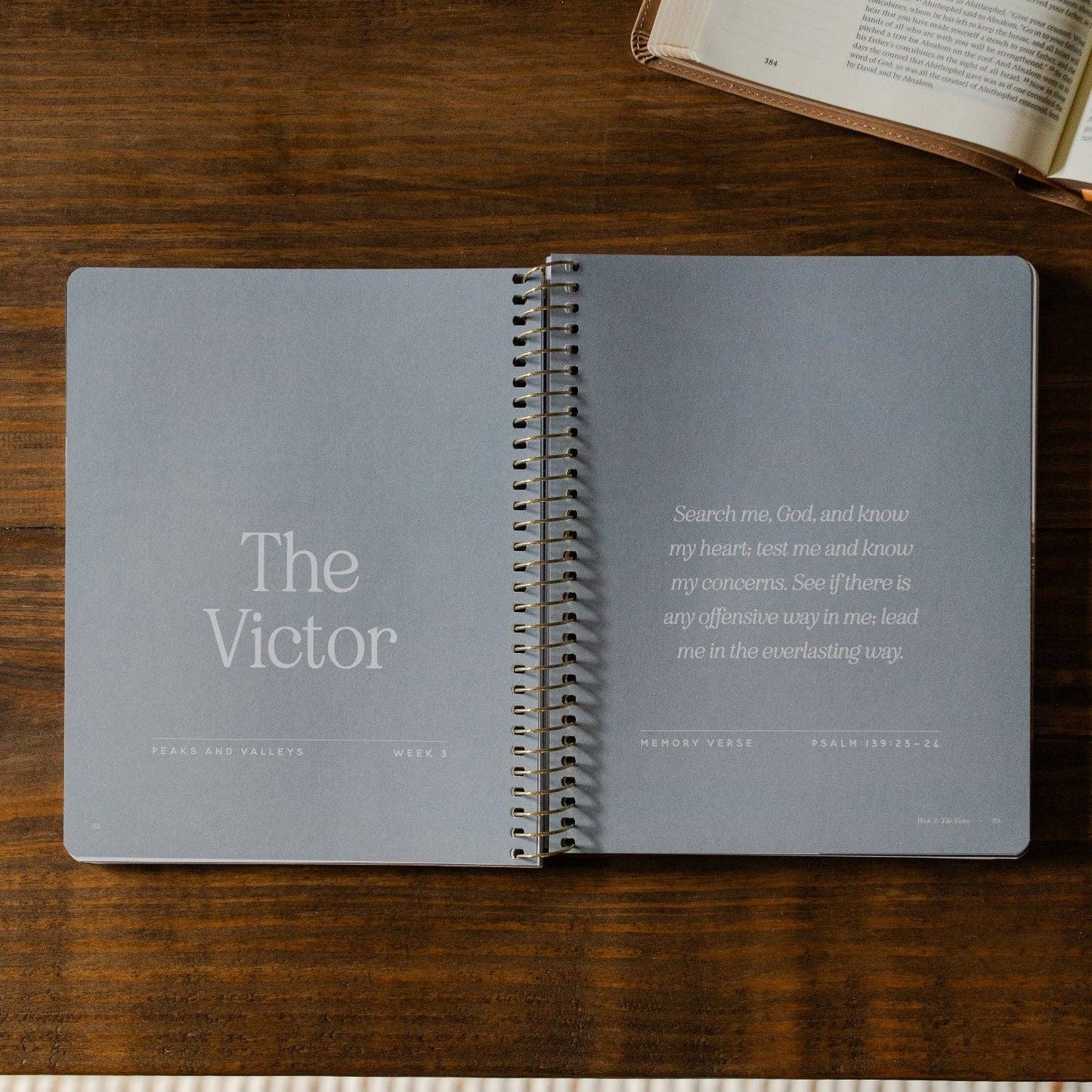 Men's Study: Peaks and Valleys: Learning to Look to Christ in Life's Highs and Lows | A Study on the Life of David - Purpose + Passion Boutique