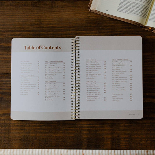 Men's Study: Peaks and Valleys: Learning to Look to Christ in Life's Highs and Lows | A Study on the Life of David - Purpose + Passion Boutique