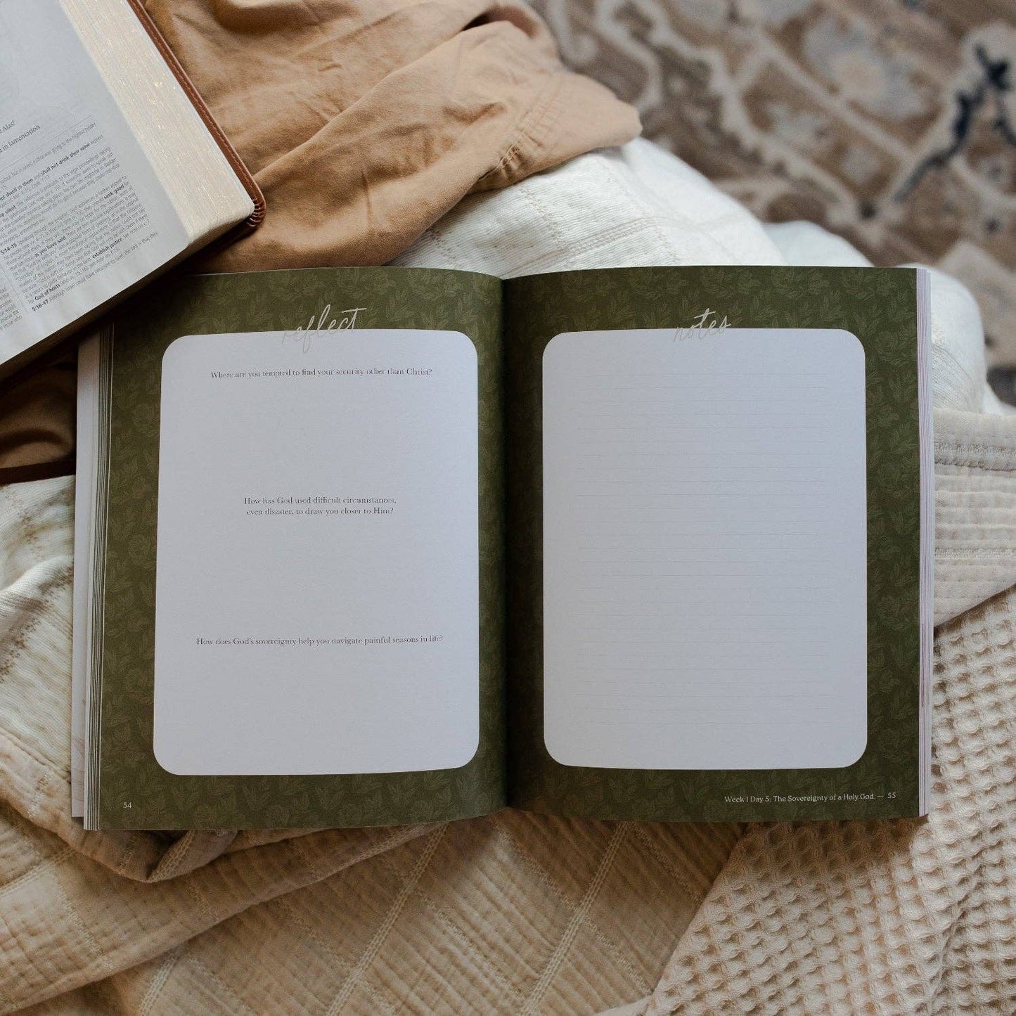 Never Too Far Gone | A Study on the Book of Amos - Purpose + Passion Boutique