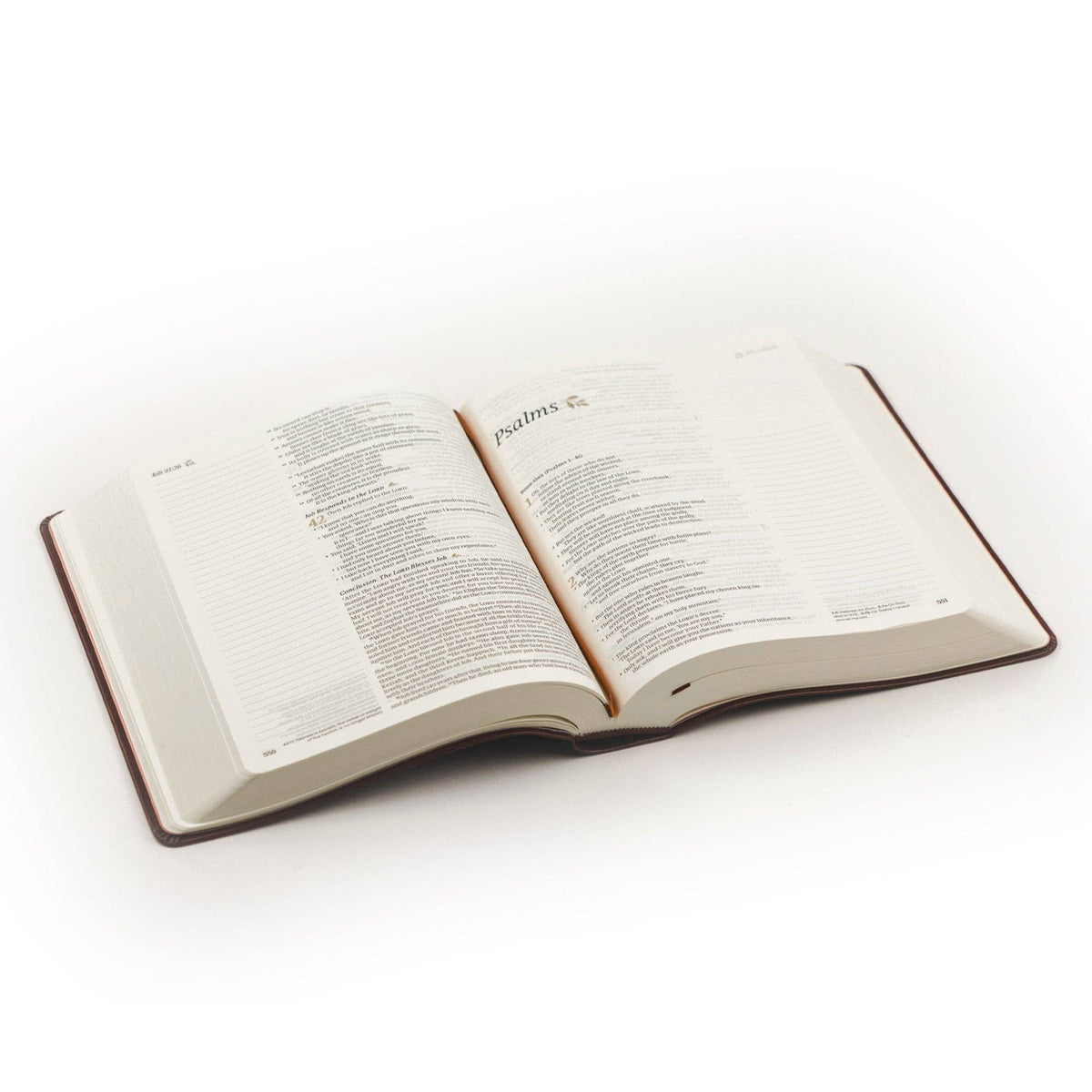 NLT Notetaking Bible : Santa Elena Theme - Purpose + Passion Boutique