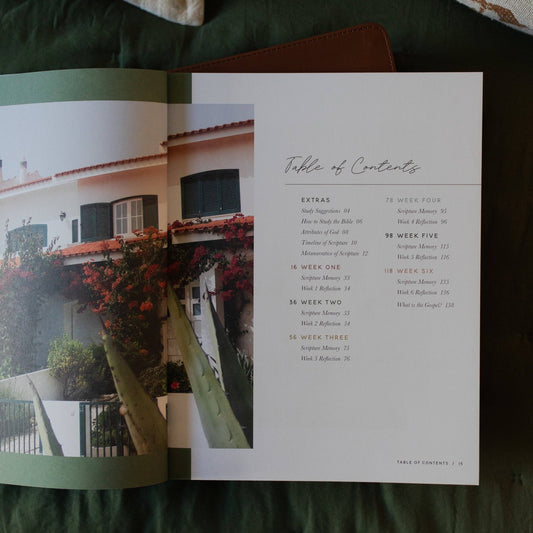 Seek | 6 Week Bible Study | A Walk Through Psalms 61 - 90 - Purpose + Passion Boutique