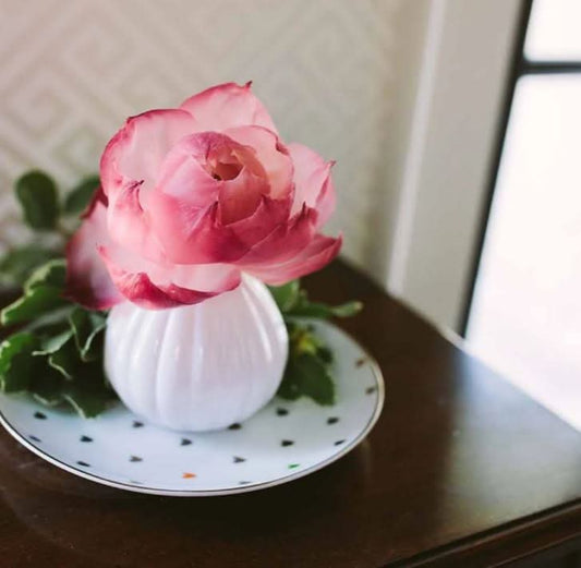 Sweet Grace Flower Diffuser - Purpose + Passion Boutique