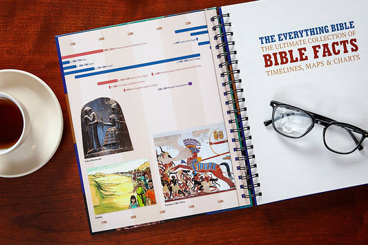 The Everything Bible Ultimate Collection of Bible Facts - Purpose + Passion Boutique