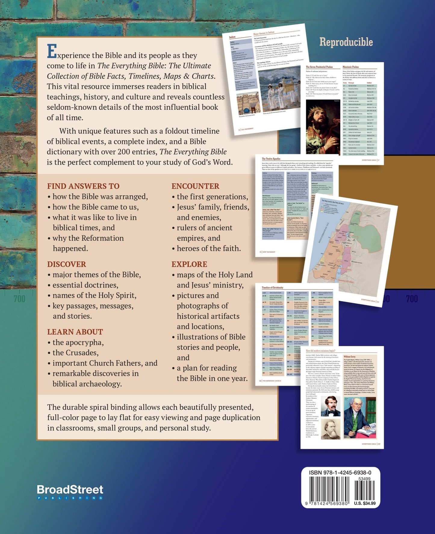 The Everything Bible Ultimate Collection of Bible Facts - Purpose + Passion Boutique