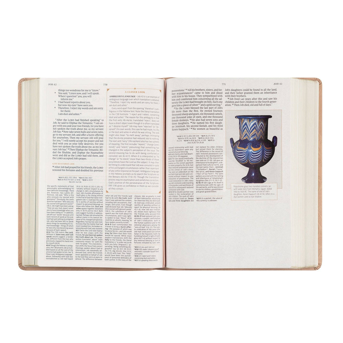 Sonora CSB Women's Study Bible