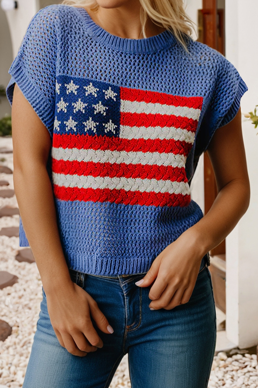 Flag Graphic Short Sleeve Sky Blue Sweater