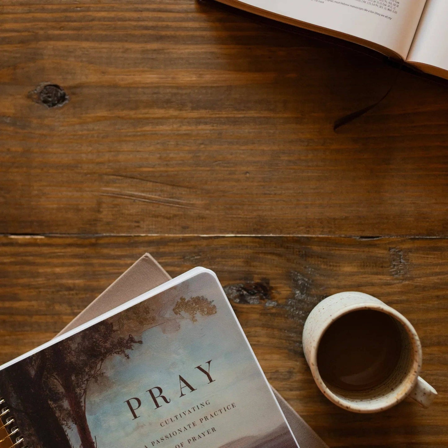 Pray Bible Study (Spiral)