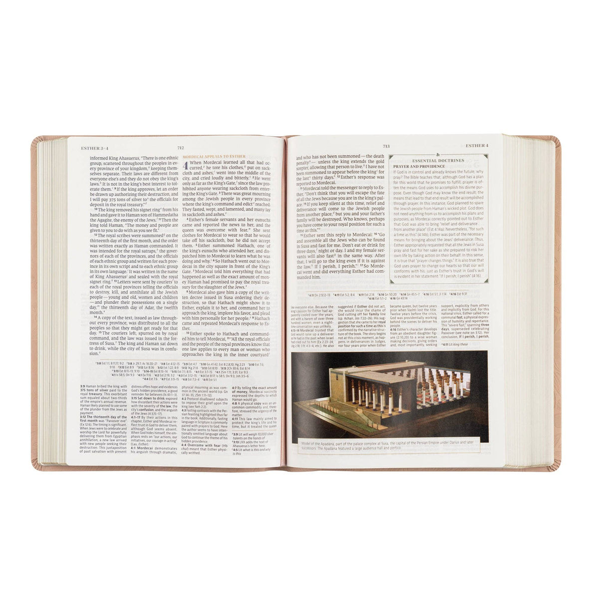 Sonora CSB Women's Study Bible