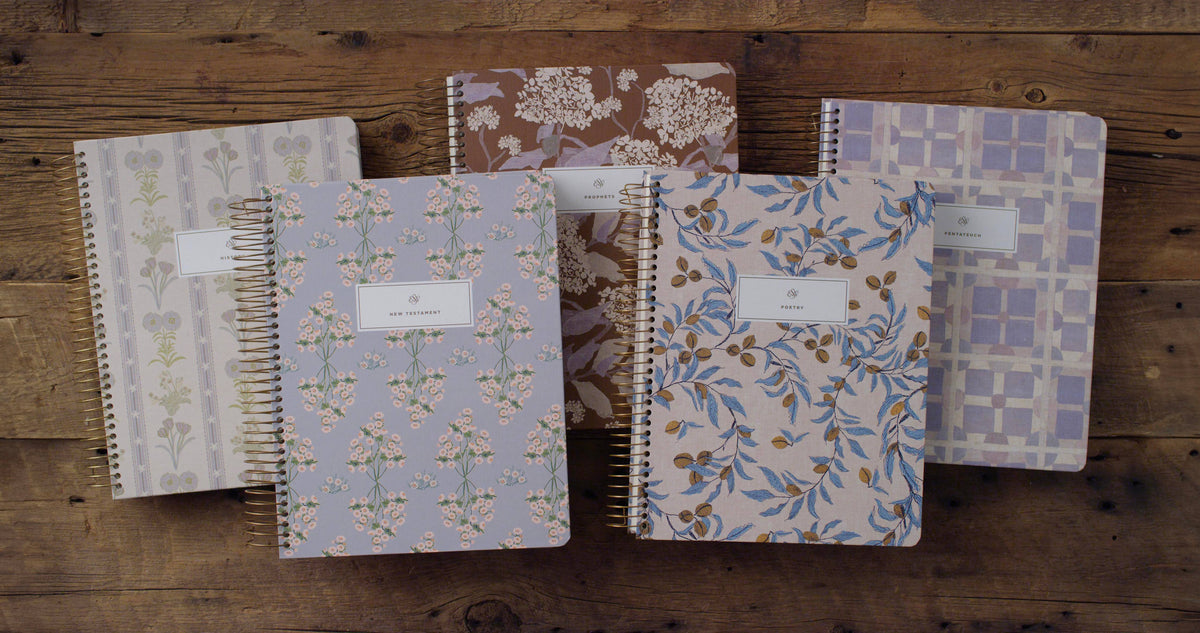 ESV Spiral-Bound Journaling Bible, Five-Volume Set