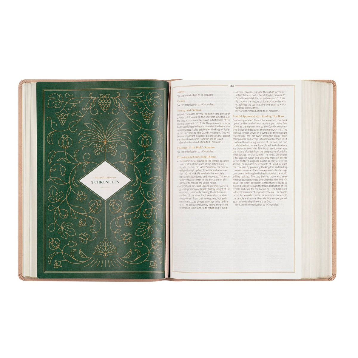 Sonora CSB Women's Study Bible