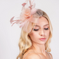 Royal Blue Feather & Double Floral Mesh Fascinator Headband/Clip