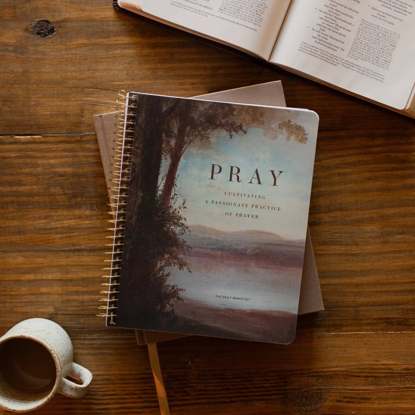 Pray Bible Study (Spiral)