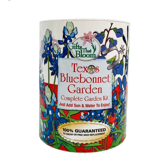 Texas Bluebonnet Garden Grocan Seed Kit