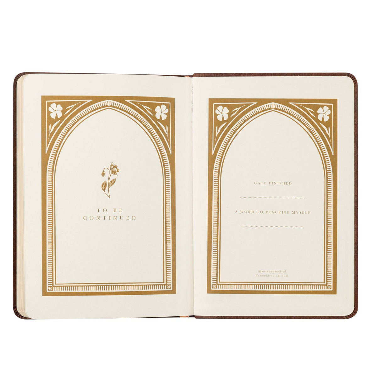 Notebook: Palma Theme