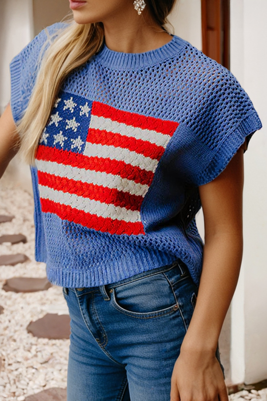 Flag Graphic Short Sleeve Sky Blue Sweater