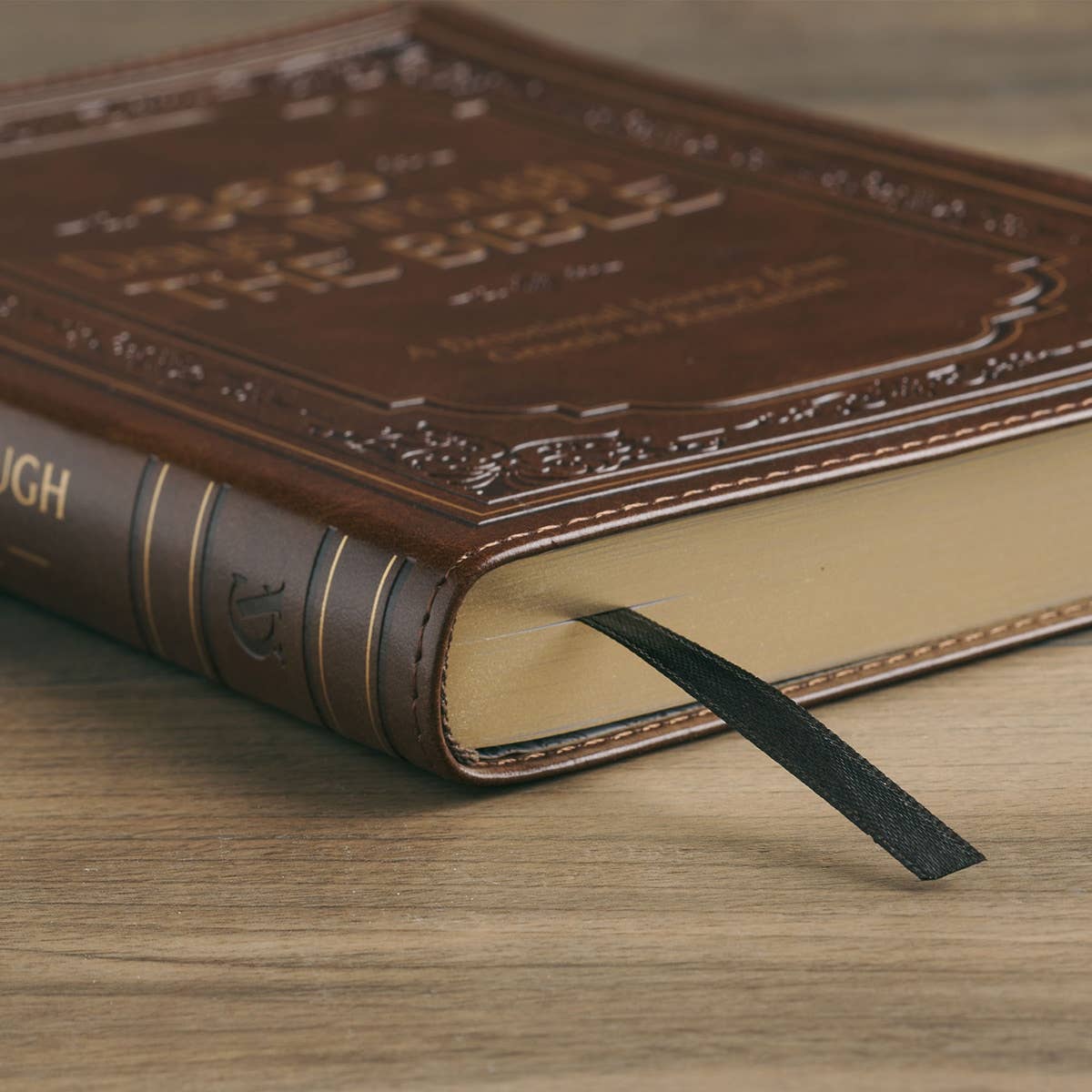 365 Days Through the Bible; A Devotional Journey - Purpose + Passion Boutique