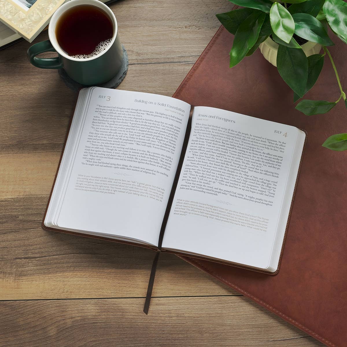 365 Days Through the Bible; A Devotional Journey - Purpose + Passion Boutique