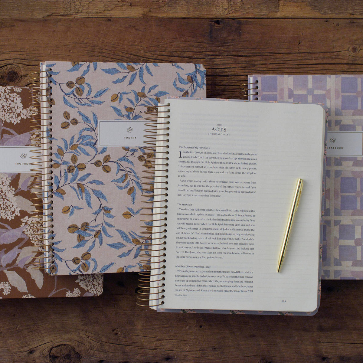 ESV Spiral-Bound Journaling Bible, Five-Volume Set
