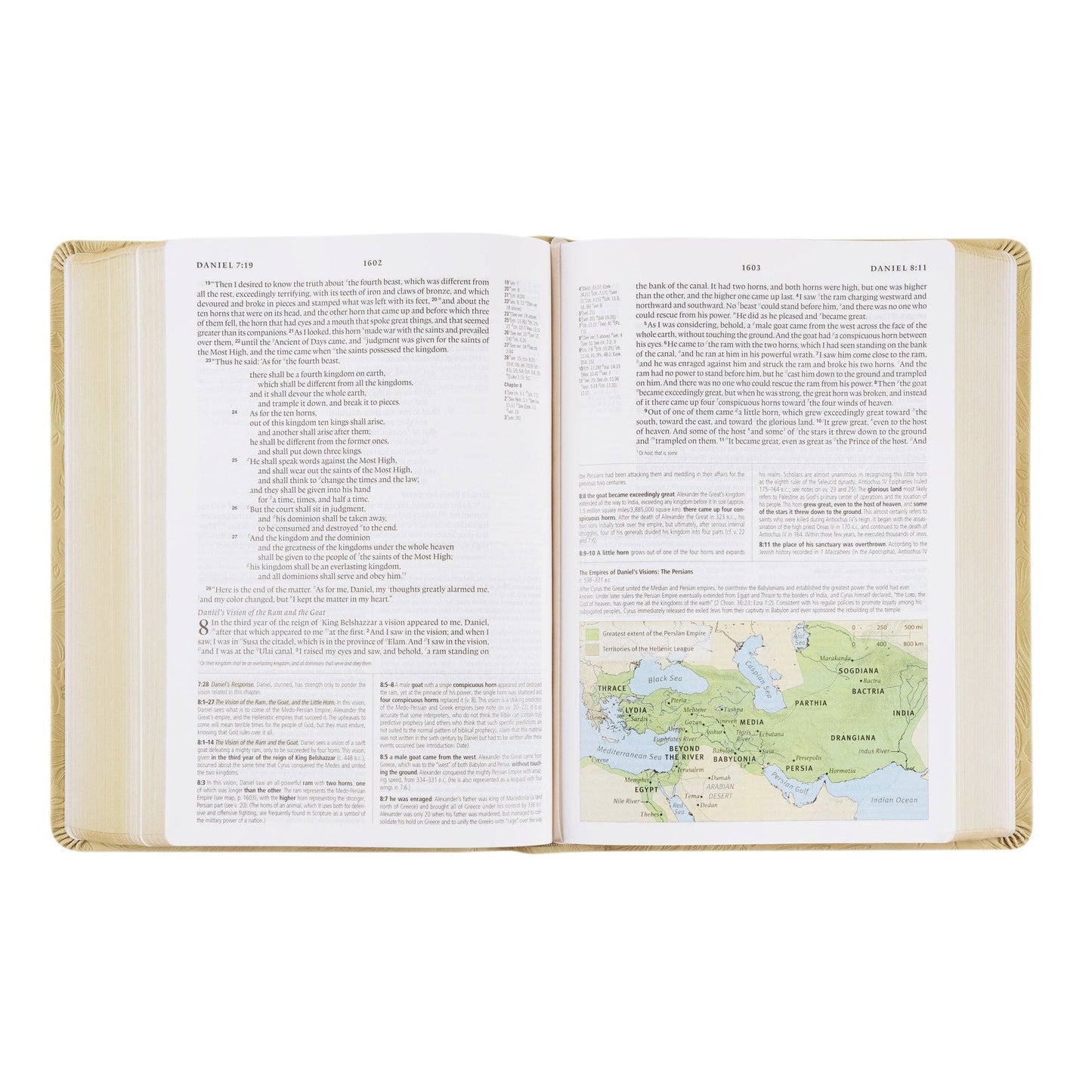 ESV Sonora Theme Study Bible