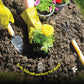 Gardening Tools Set (10 pieces)