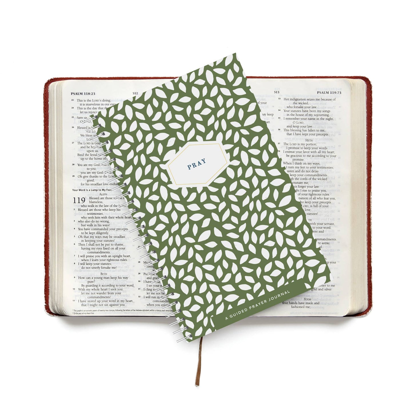 Yearly Prayer Olive Leaf Journal