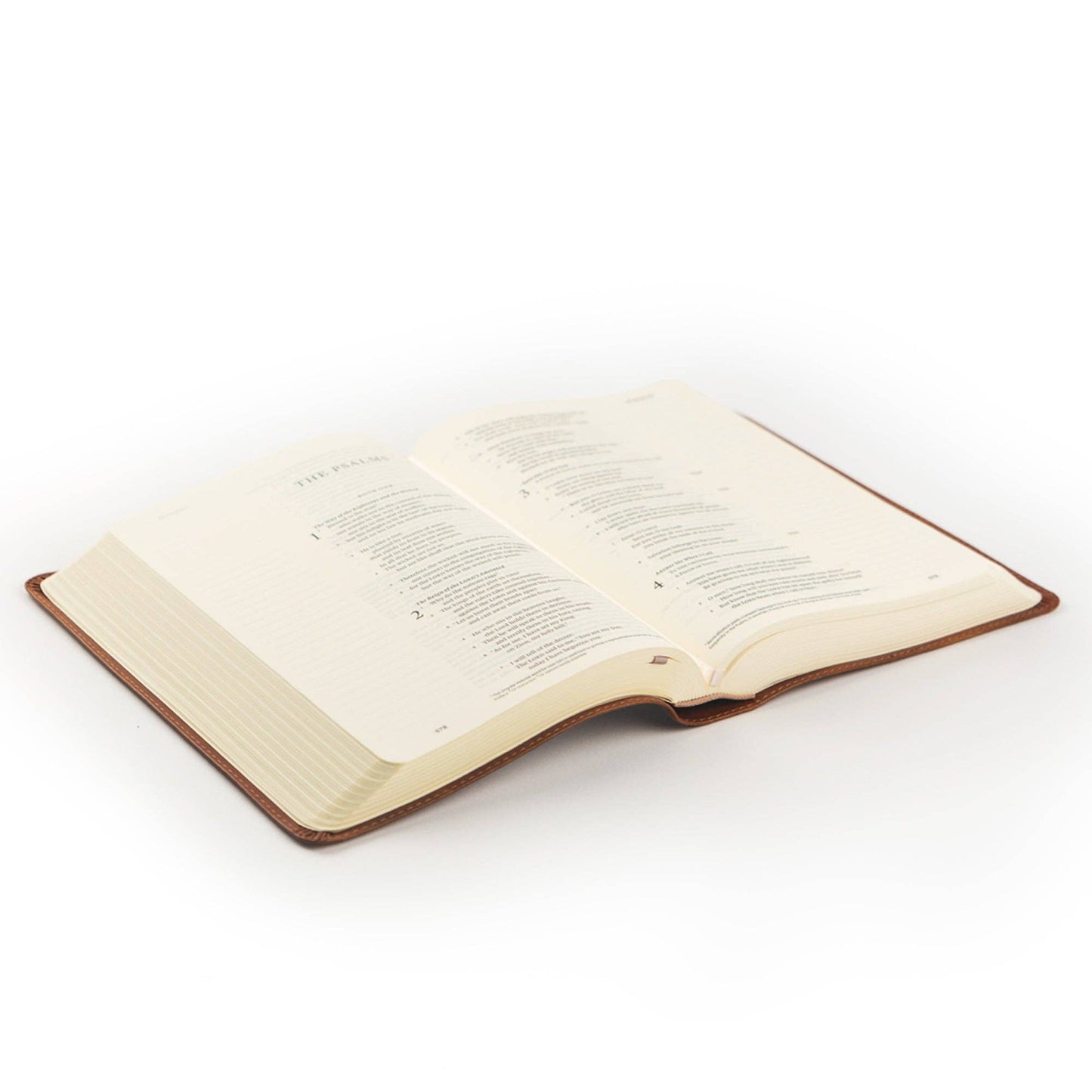 ESV Single Column Sierra Journaling Bible