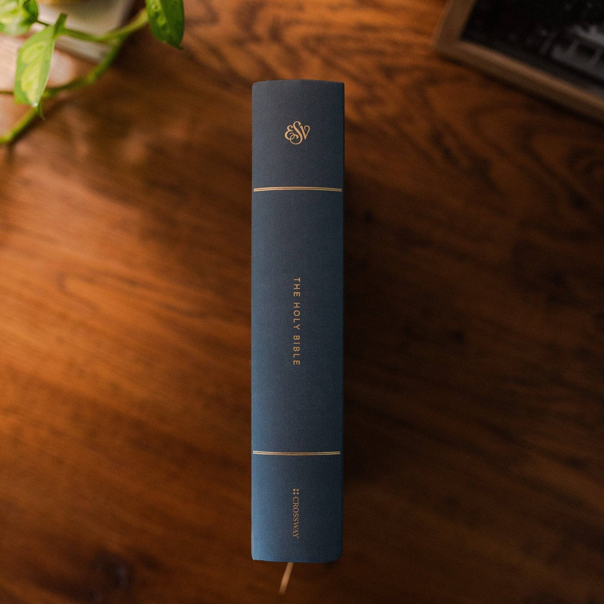 Lantana ESV Large Print Single Column Journaling Bible