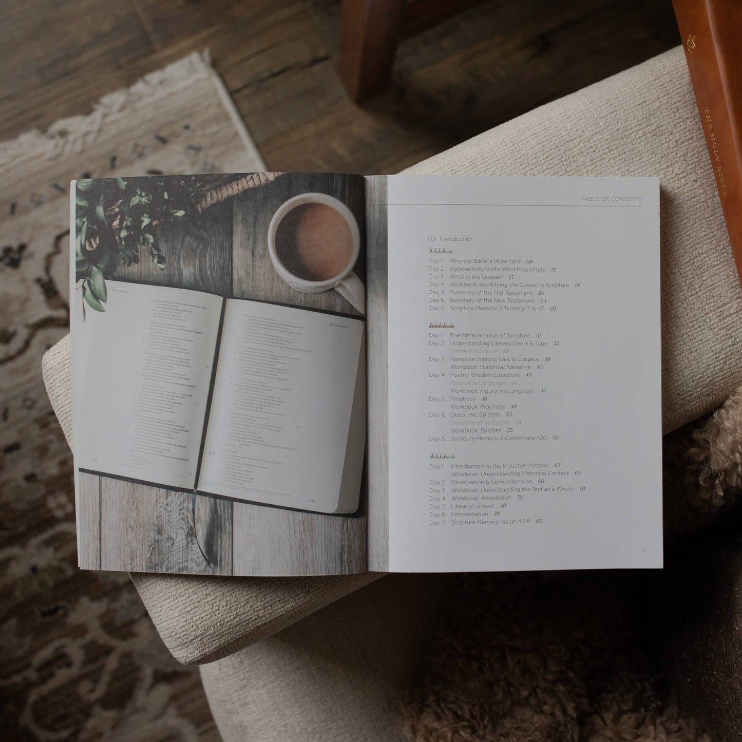 Search the Word Men's Bible Study