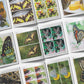 Butterfly Spot the Difference Puzzles, I Spy Activity Book