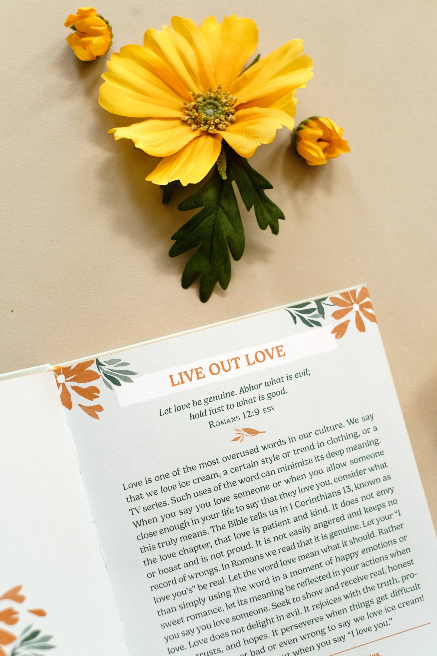 Unfiltered Devotions for Women