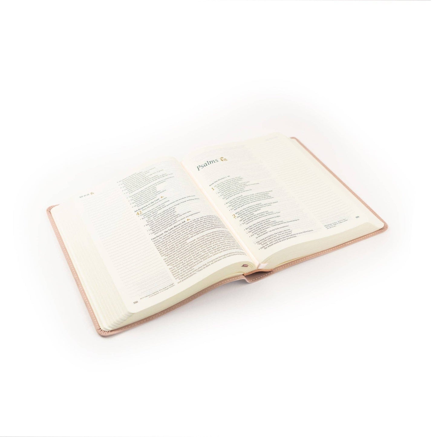 NLT Shiloh Notetaking Bible