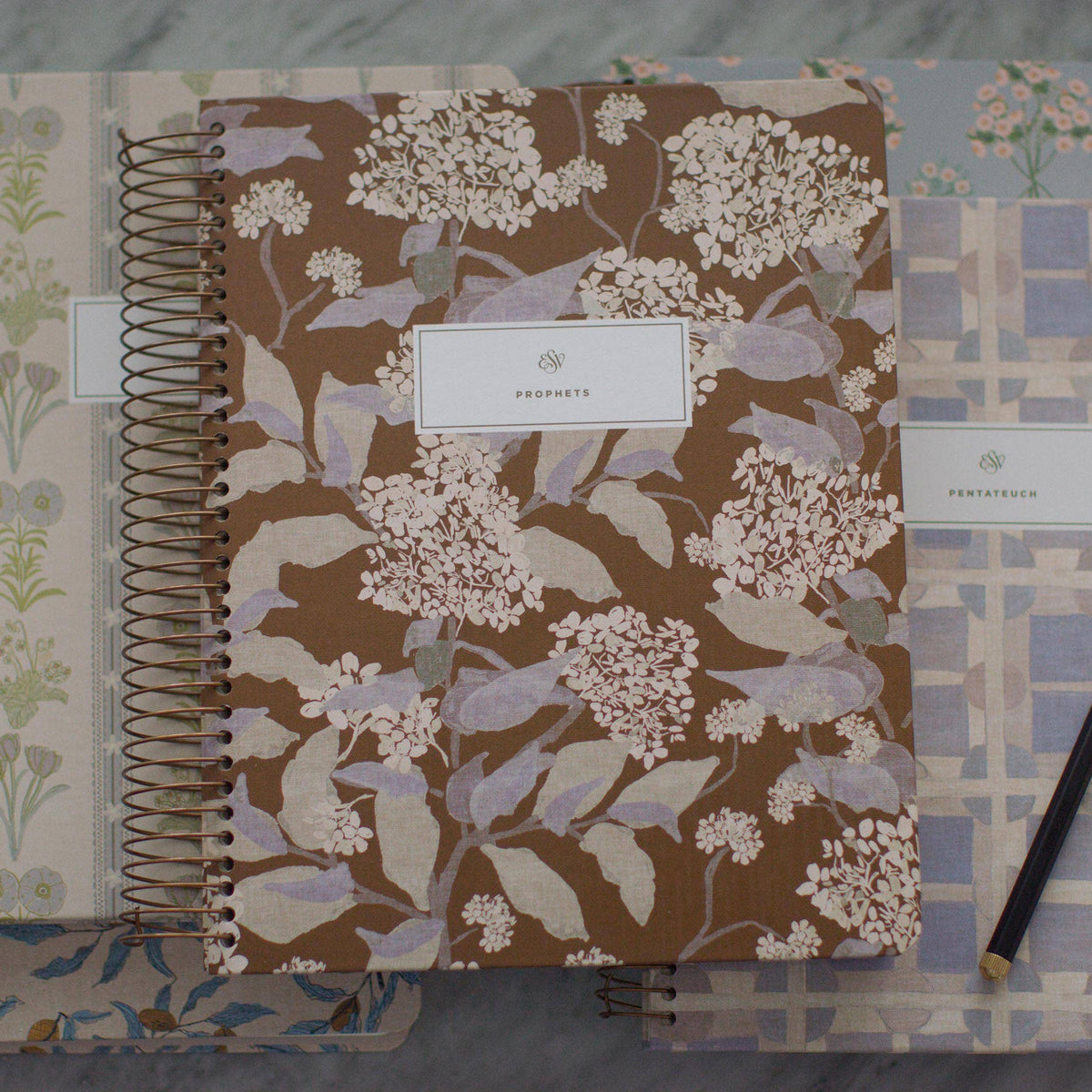 ESV Spiral-Bound Journaling Bible, Five-Volume Set