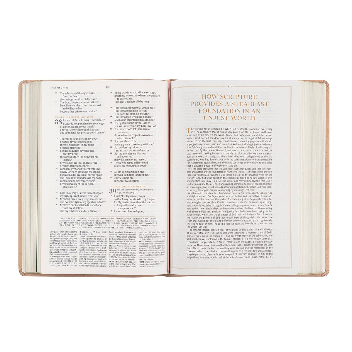 Sonora CSB Women's Study Bible