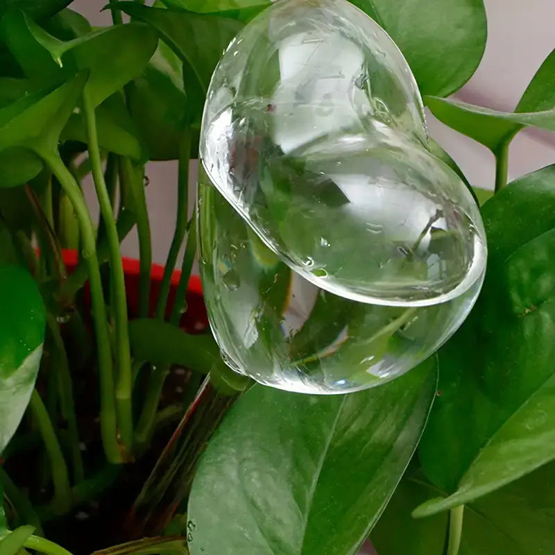 Heart-Shaped Plant Watering Stake