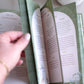 The Bible Promise Book for Morning and Evening