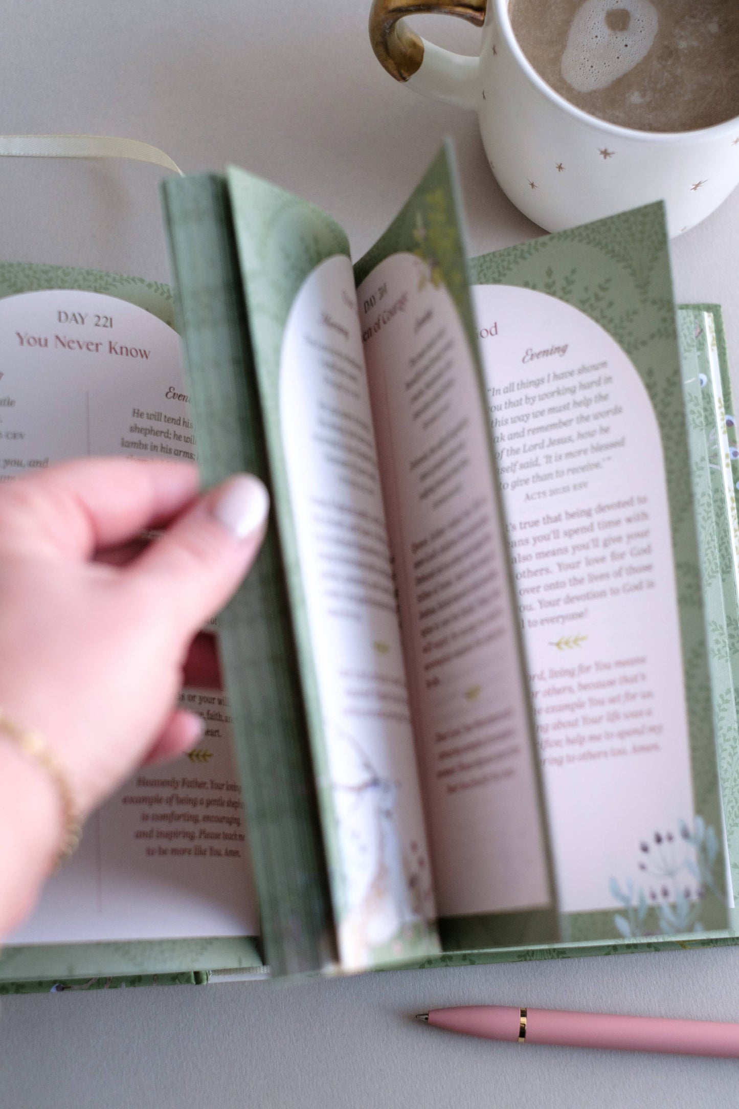The Bible Promise Book for Morning and Evening