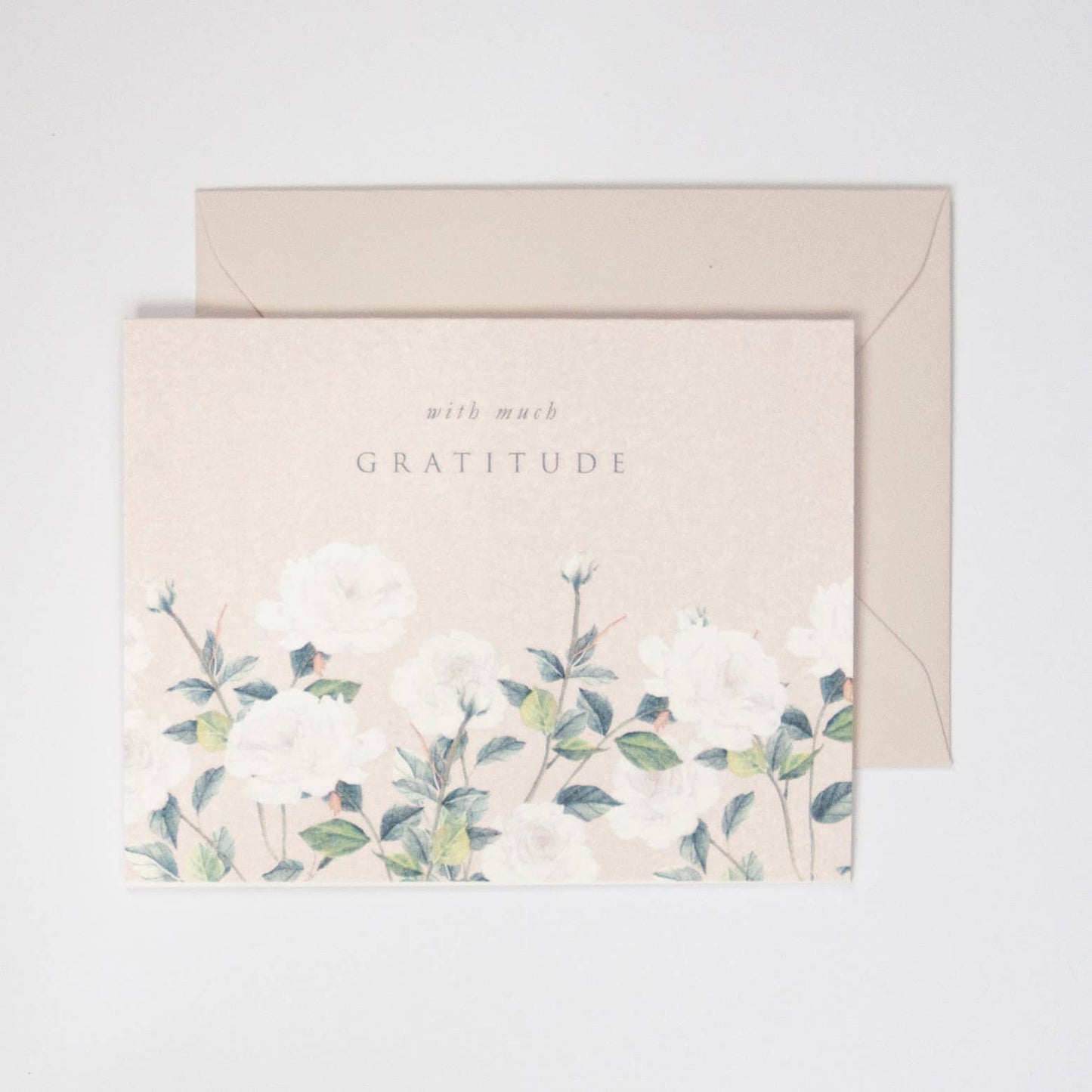 Watercolor Box of Thank You Cards